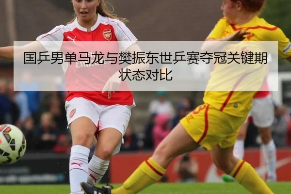 guo-ping-nan-dan-ma-long-yu-fan-zhen-dong-shi-ping-sai-duo-guan-guan-jian-qi-zhuang-tai-dui-bi-3-401.jpg