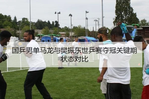 国乒男单马龙与樊振东世乒赛夺冠关键期状态对比