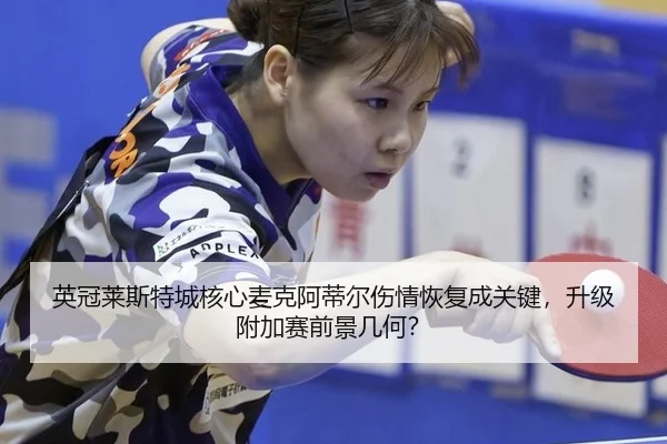 ying-guan-lai-si-te-cheng-he-xin-mai-ke-a-di-er-shang-qing-hui-fu-cheng-guan-jian-sheng-ji-fu-jia-sai-qian-jing-ji-he-3-137.jpg
