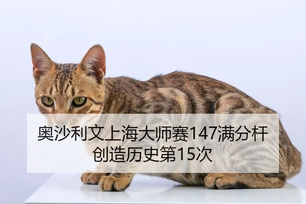 奥沙利文上海大师赛147满分杆创造历史第15次