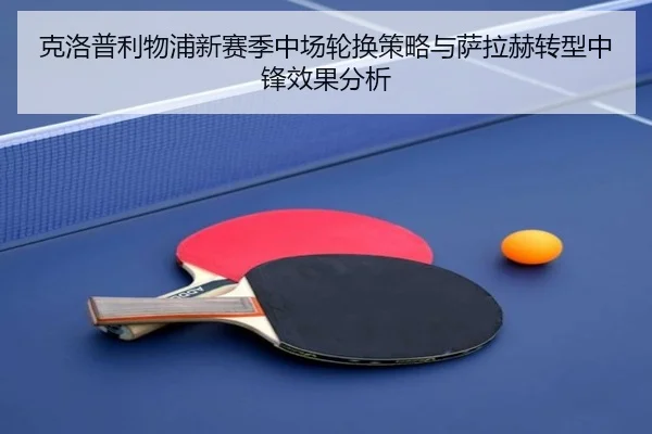 ke-luo-pu-li-wu-pu-xin-sai-ji-zhong-chang-lun-huan-ce-lve-yu-sa-la-he-zhuan-xing-zhong-feng-xiao-guo-fen-xi-3-677.jpg
